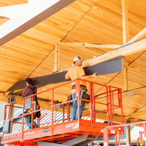 Two workers, attaching decorative board to the frame of a ceiling