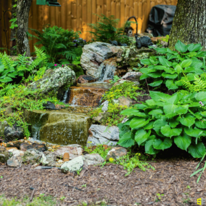 A small rock water feature surrounded by natural landscaping